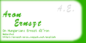 aron ernszt business card